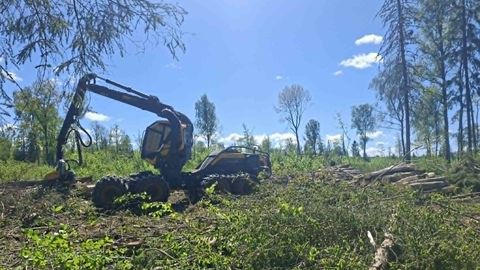 Keskkonnaamet on pesitsusrahu kaitseks peatanud kaks raiet kaitsealadel