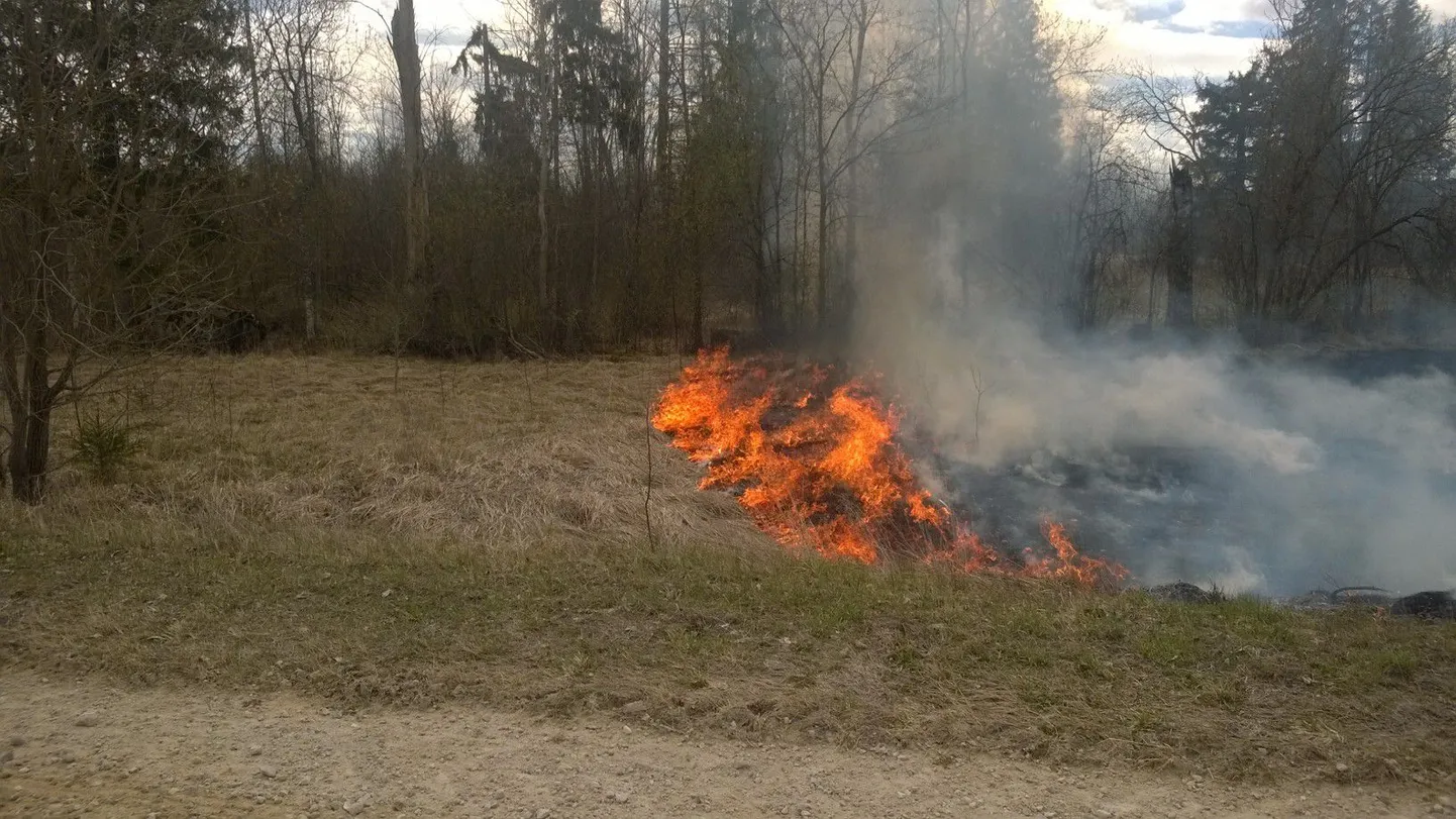 Kulupõleng Lustiveres.