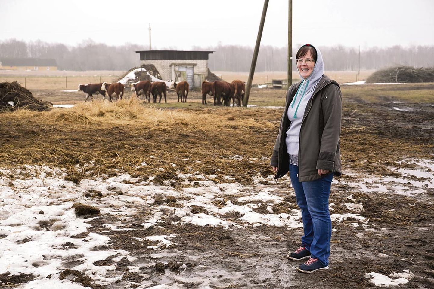 Kihnu Põllumajanduse osaühingut juhib Ene Laine, kes on kariloomadega maast-madalast kokku kasvanud.