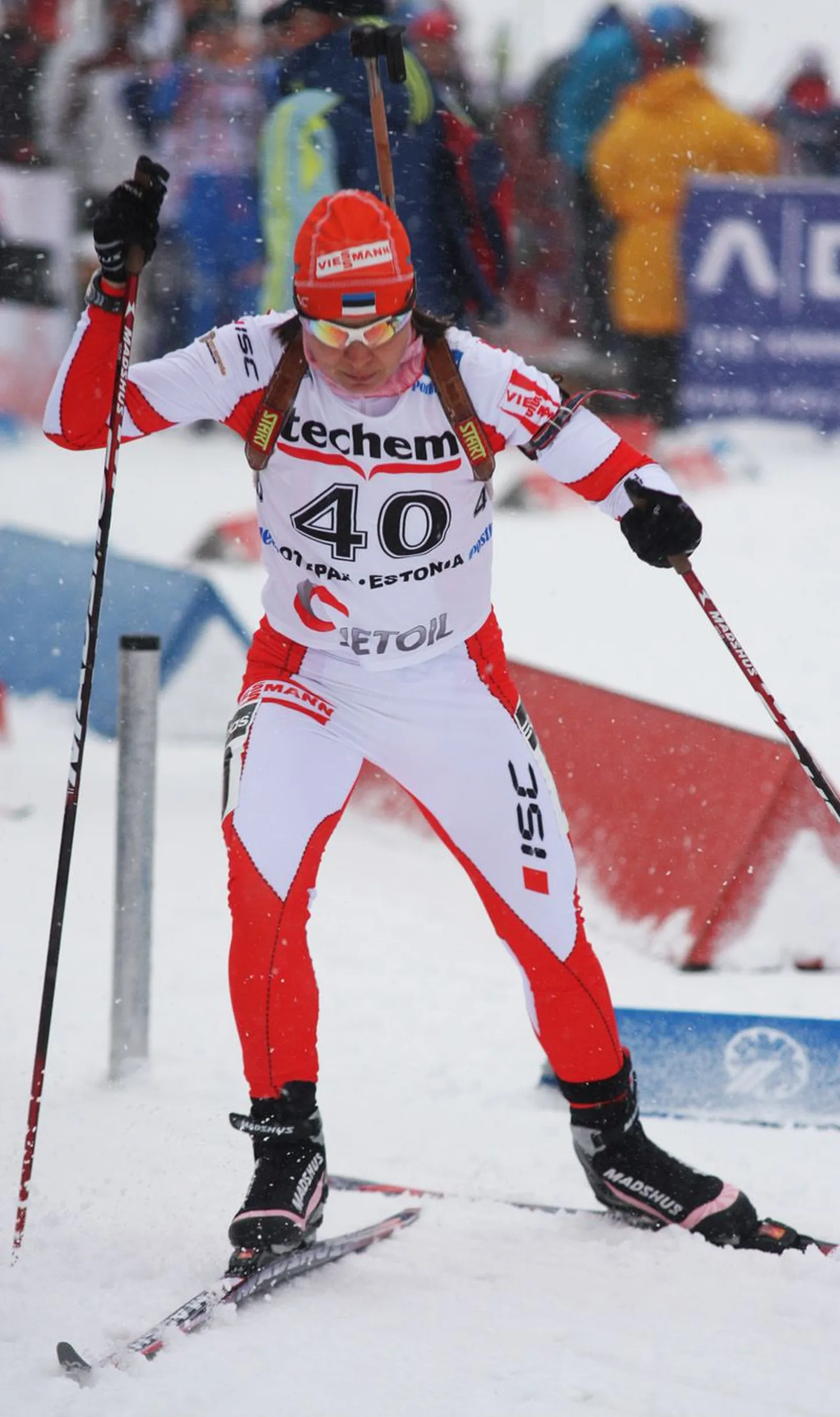 Eveli Saue