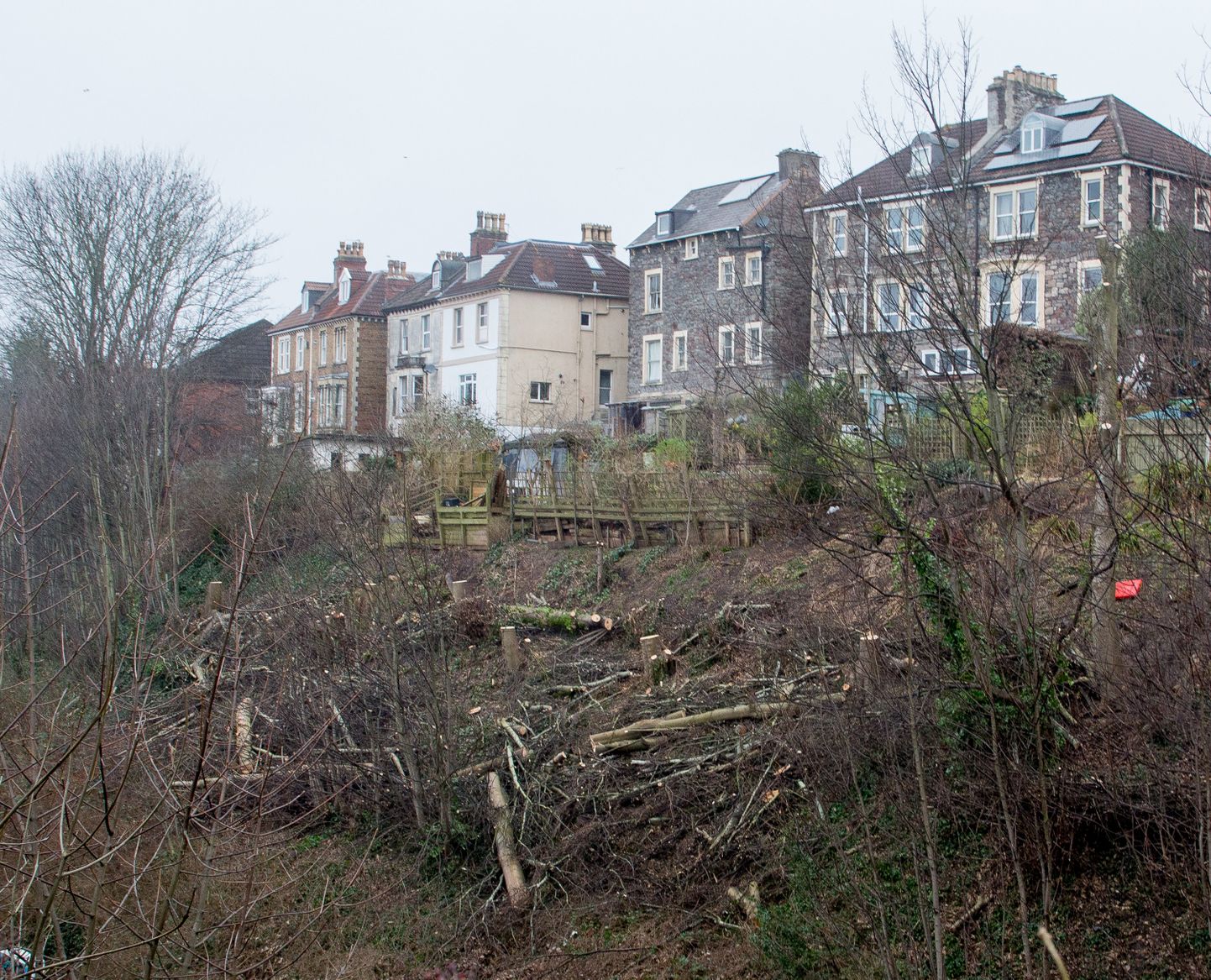 Suurbritannias Bristolis võtsid ühe kortermaja elanikud maha nende vaadet varjanud puud, kuid sellest puhkes tüli vastasmajas elavate inimestega.