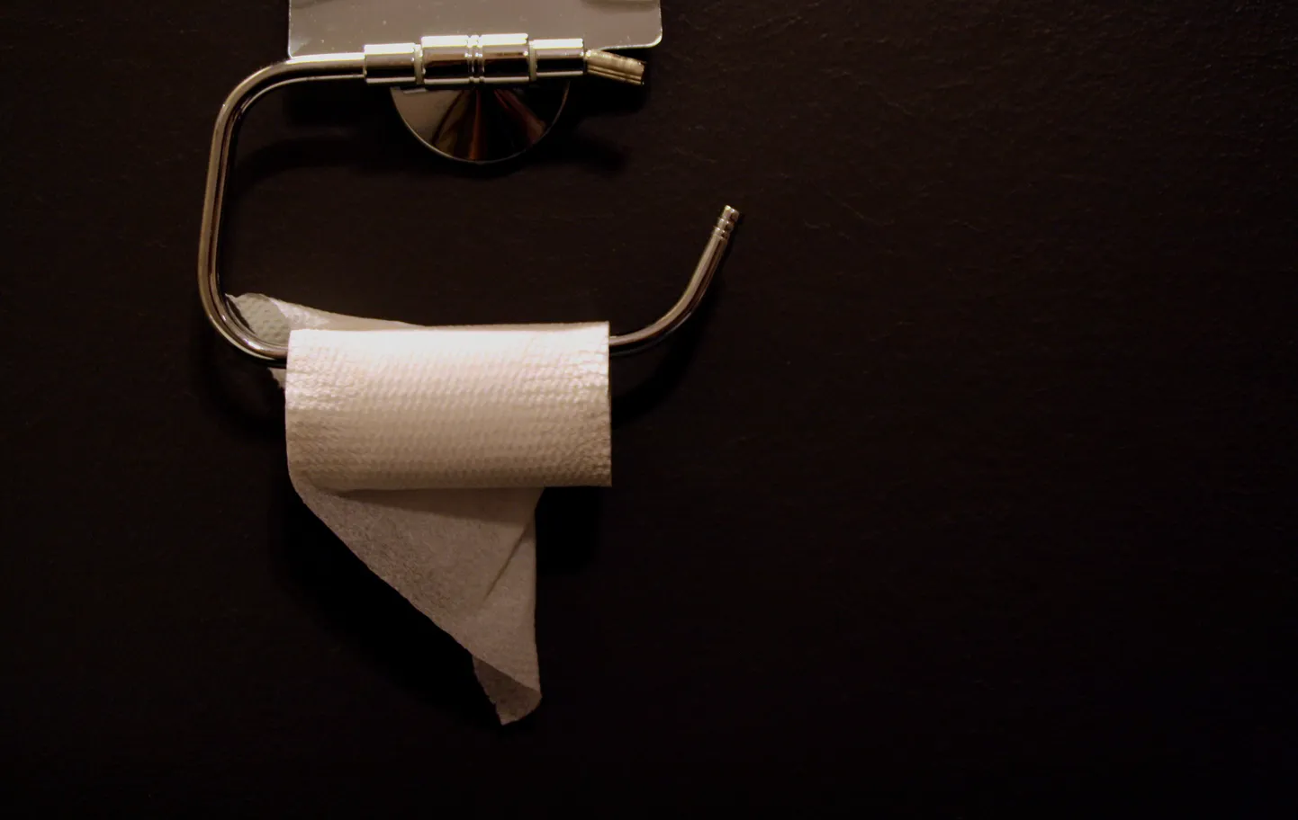 toilet paper