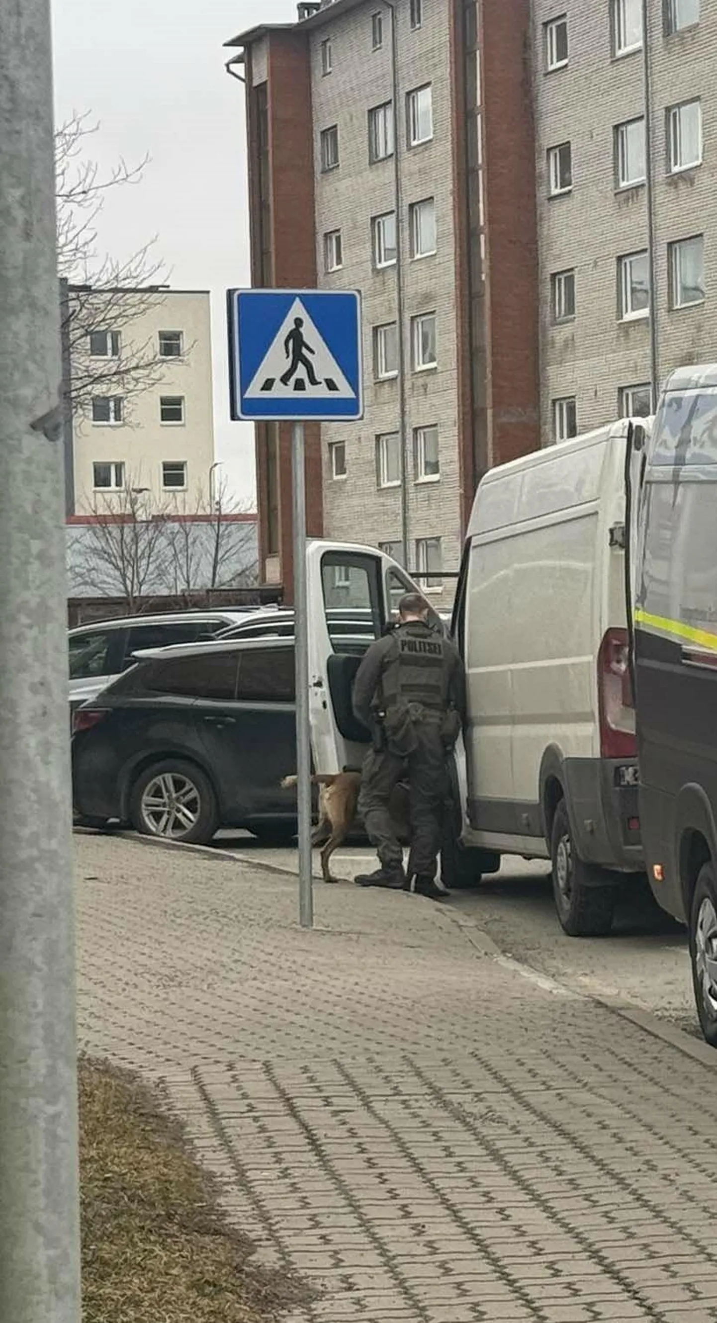 Politsei teenistuskoer otsis läbi valge kaubiku, mille roolist avastati narkojoobetunnustega isik.​