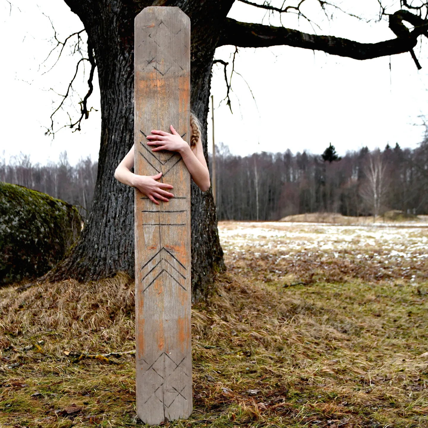Raksta foto