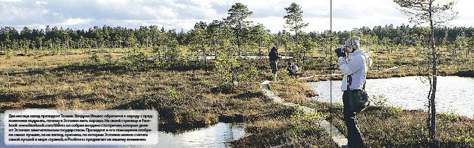 В Эстонии более 165 000 болот, размер которых превышает один гектар, и около 7000 верховых болот покрывает 22,3% суши. Возраст некоторых верховых болот — более 10 000 лет, и большинство из   них получили свое начало из озер, которые около 6500 лет назад превратились в трясину.