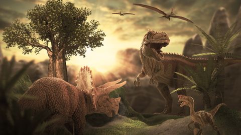 FOSSIILILEIUD TÕENDAVAD ⟩ Dinosaurused surid Aafrikas välja oma õitsengu tipul