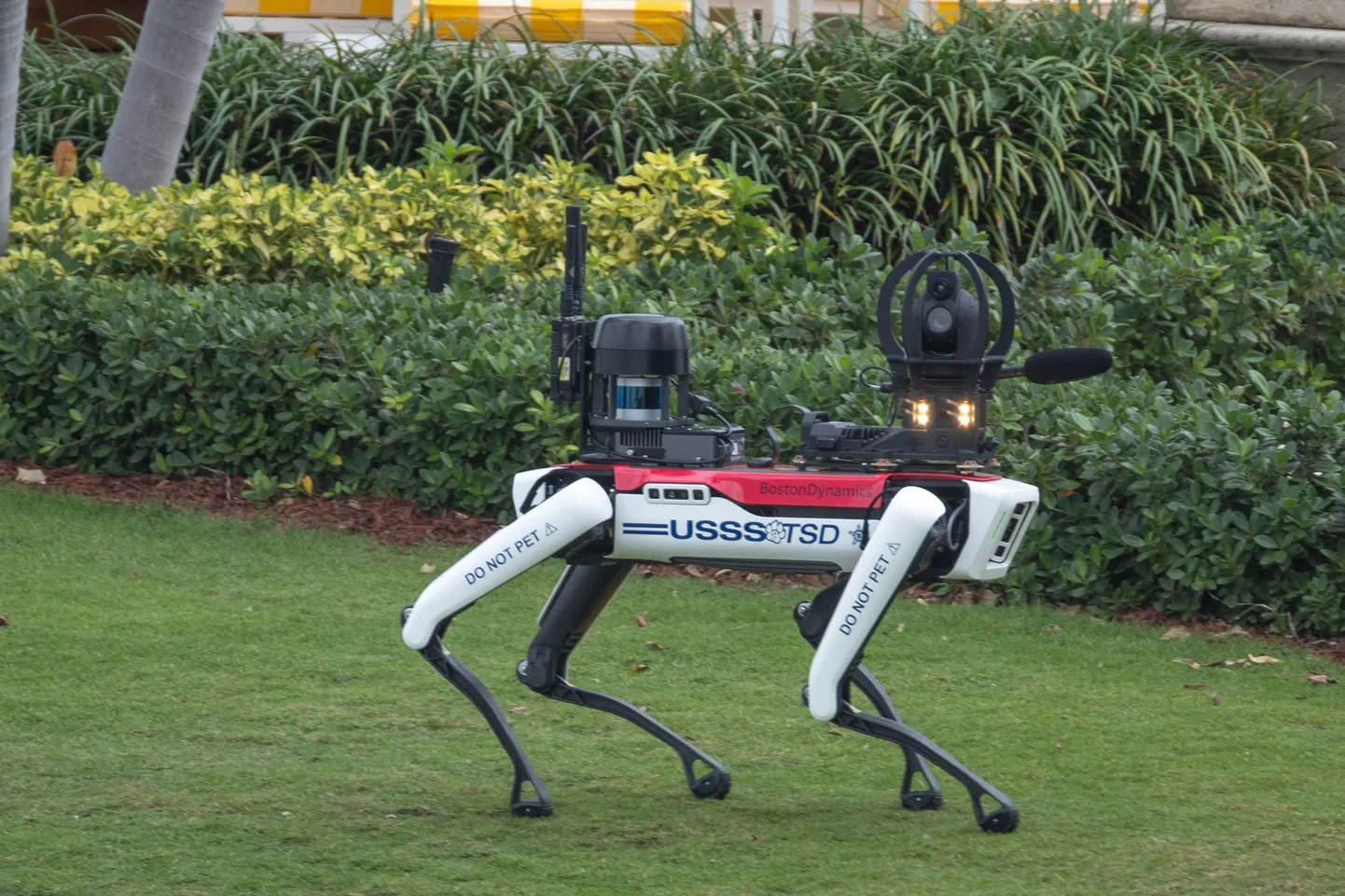Boston Dynamicsi robotkoer nunnutamist ei salli, kuid on üsna leebe presidendivalvur, kuna relvad pardal puuduvad.