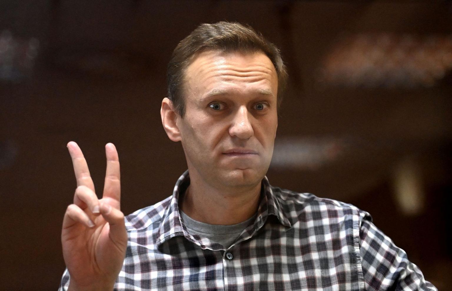 Venemaa opositsiooniliider Aleksei Navalnõi Moskva Babuškinski kohtus.