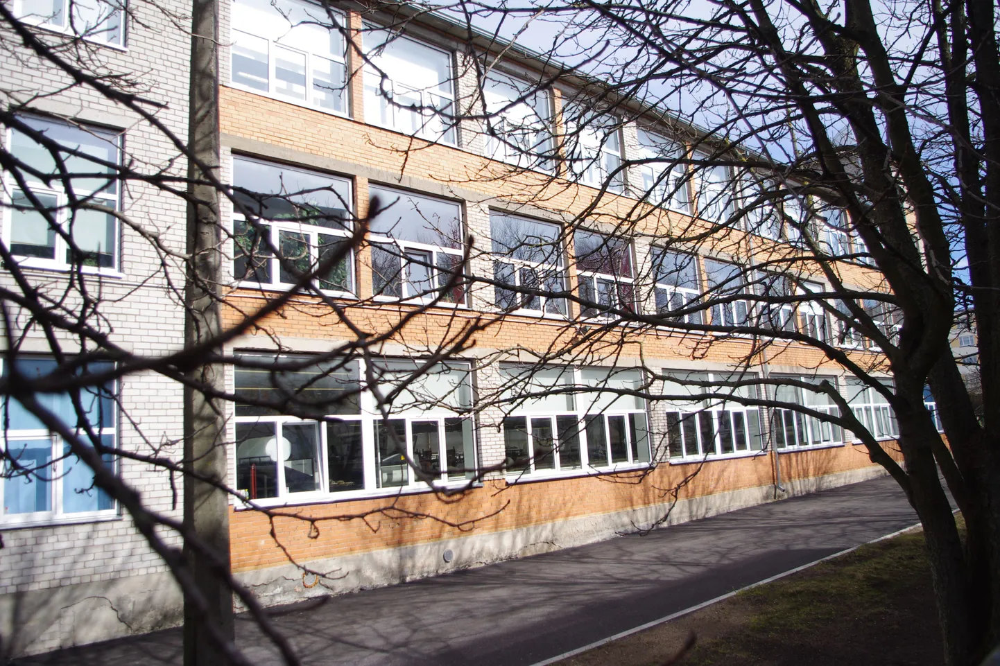 M.A.S.I. Company tehas Valgas Sepa tänaval
