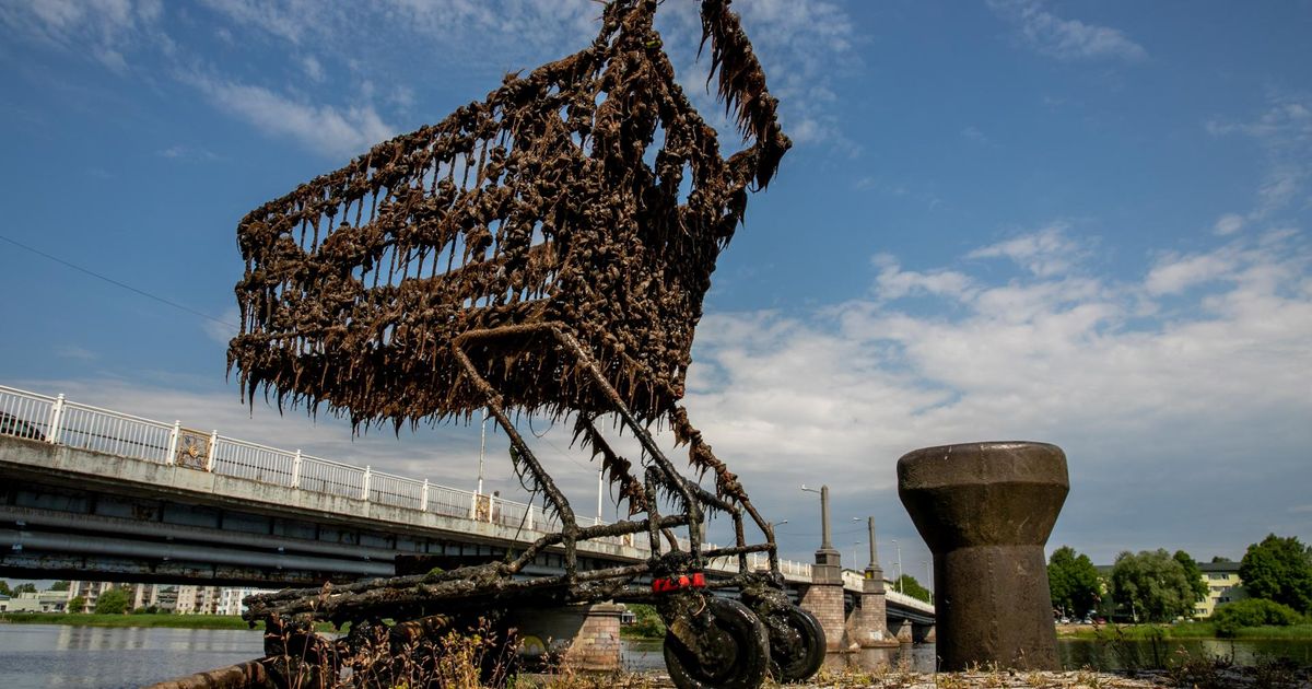 Kui suurt majanduslikku kahju põhjustavad kettidele poekärude vargused?