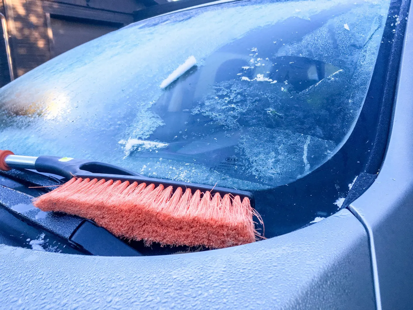 Lähipäevad tulevad vihma- ja lörtsisajused ja kohati langeb õhutemperatuur nelja miinuskraadini.