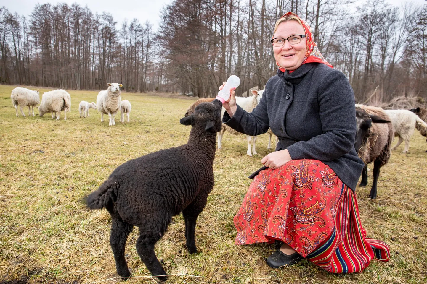 Kihnu kultuuriga käib kokku väiketalupidamine nagu Uiõ-Matu talus, kus perenaine Mare Mätas lutitab Timofeid, keda lambaema omaks ei võtnud.