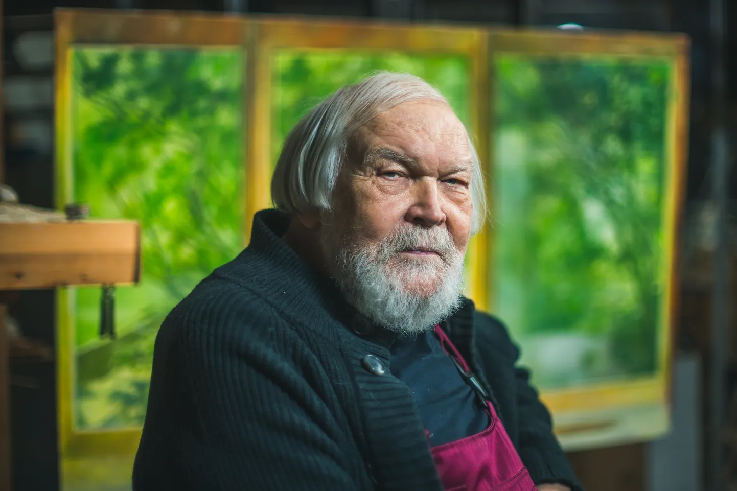 Mākslinieks Kārlis Dobrājs