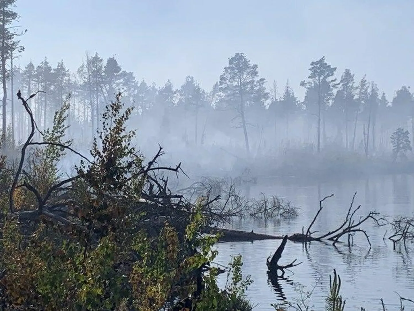 Põleng asub raskesti ligipääsetavas kohas keset raba. Õnneks saavad päästjad kustutusvett otse Puhatu järvest. Pumbad ja kustutusvoolikud toodi kohale kopteriga.