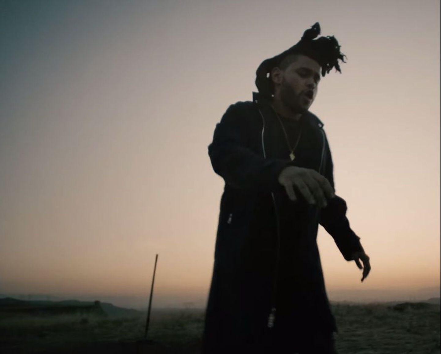 The Weeknd muusikavideos «Tell Your Friends»