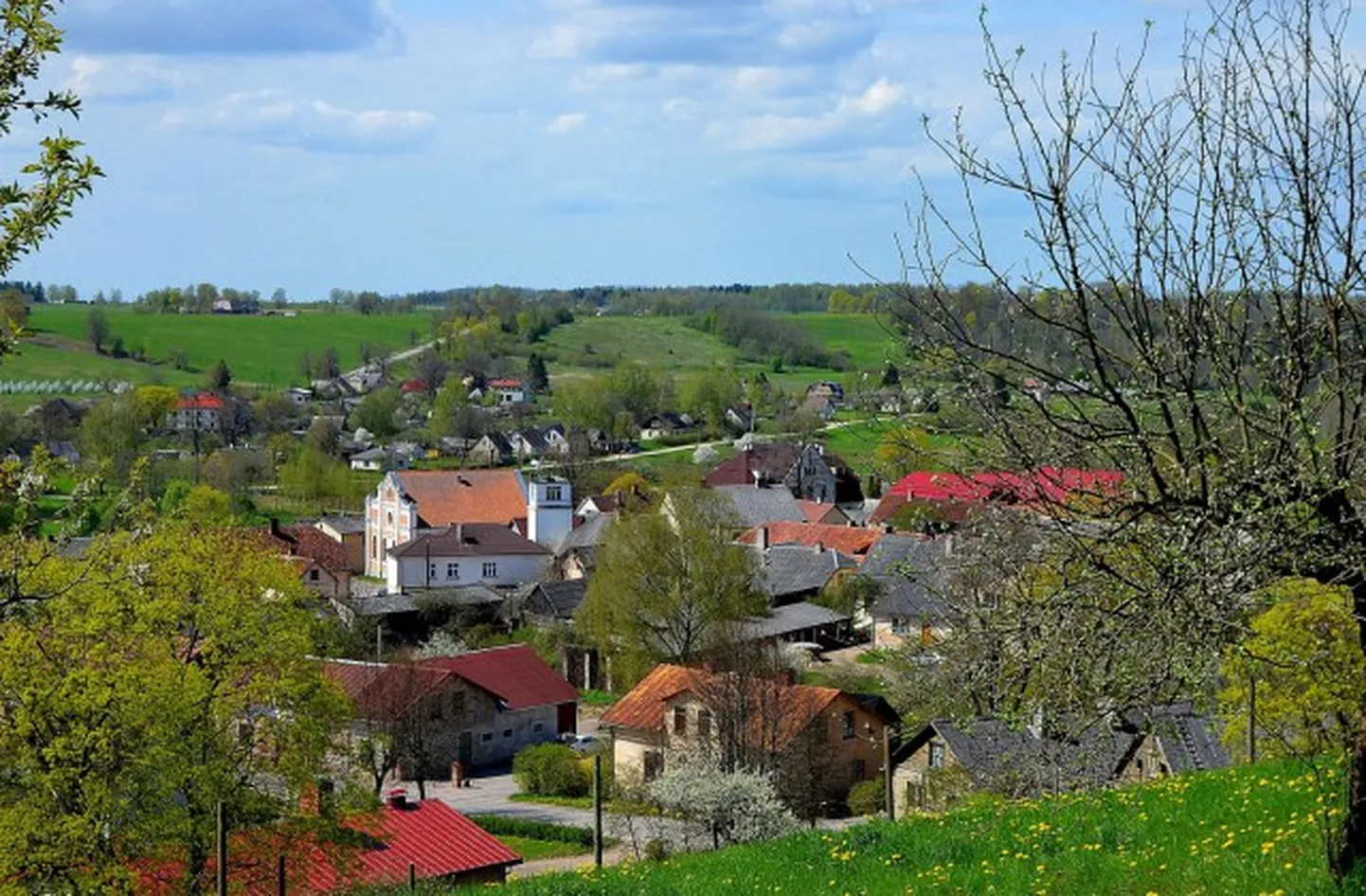 Raksta foto