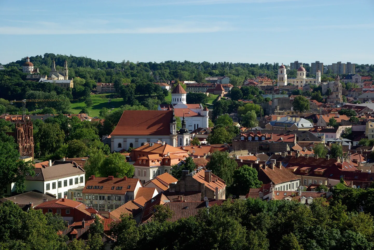 Viļņa