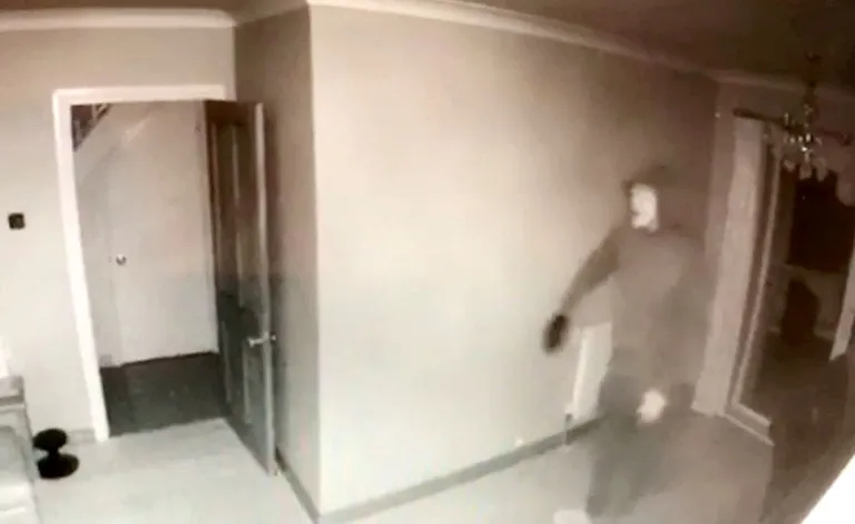 Artikli foto