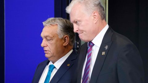 Leedu alandas oma poliitilist esindatust ELi kohtumistel Ungaris