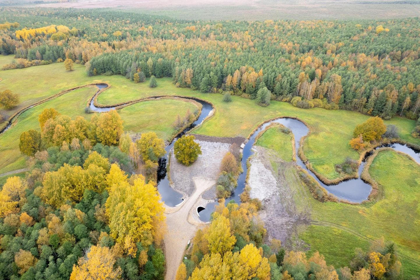 Soomaa rahvuspark saab 30-aastaseks.
 