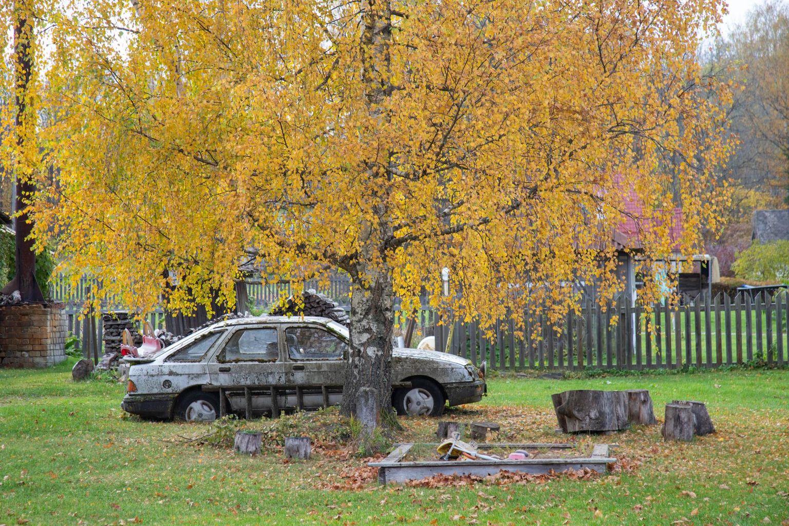 Vana Ford on leidnud parkimiskoha Tääksi kase all.