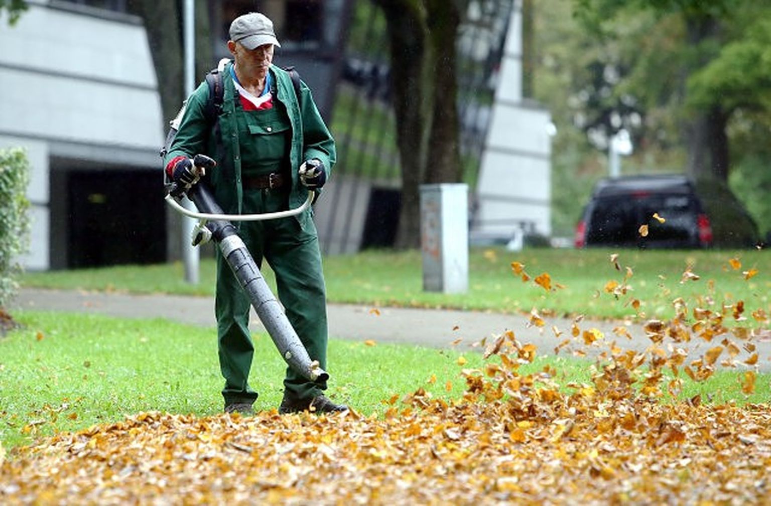 Рабочий убирает осенние листья. Иллюстративное фото