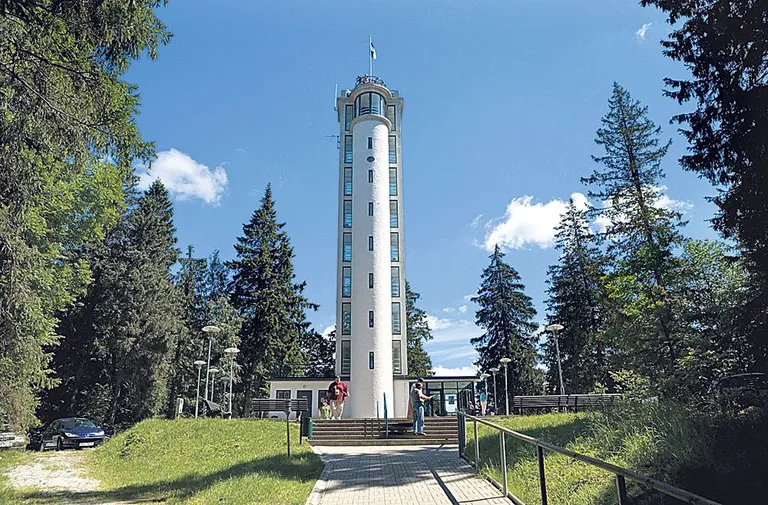 Фото статьи