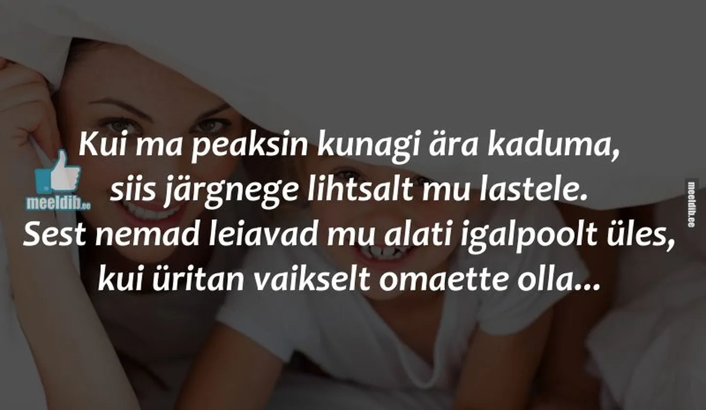 Artikli foto
