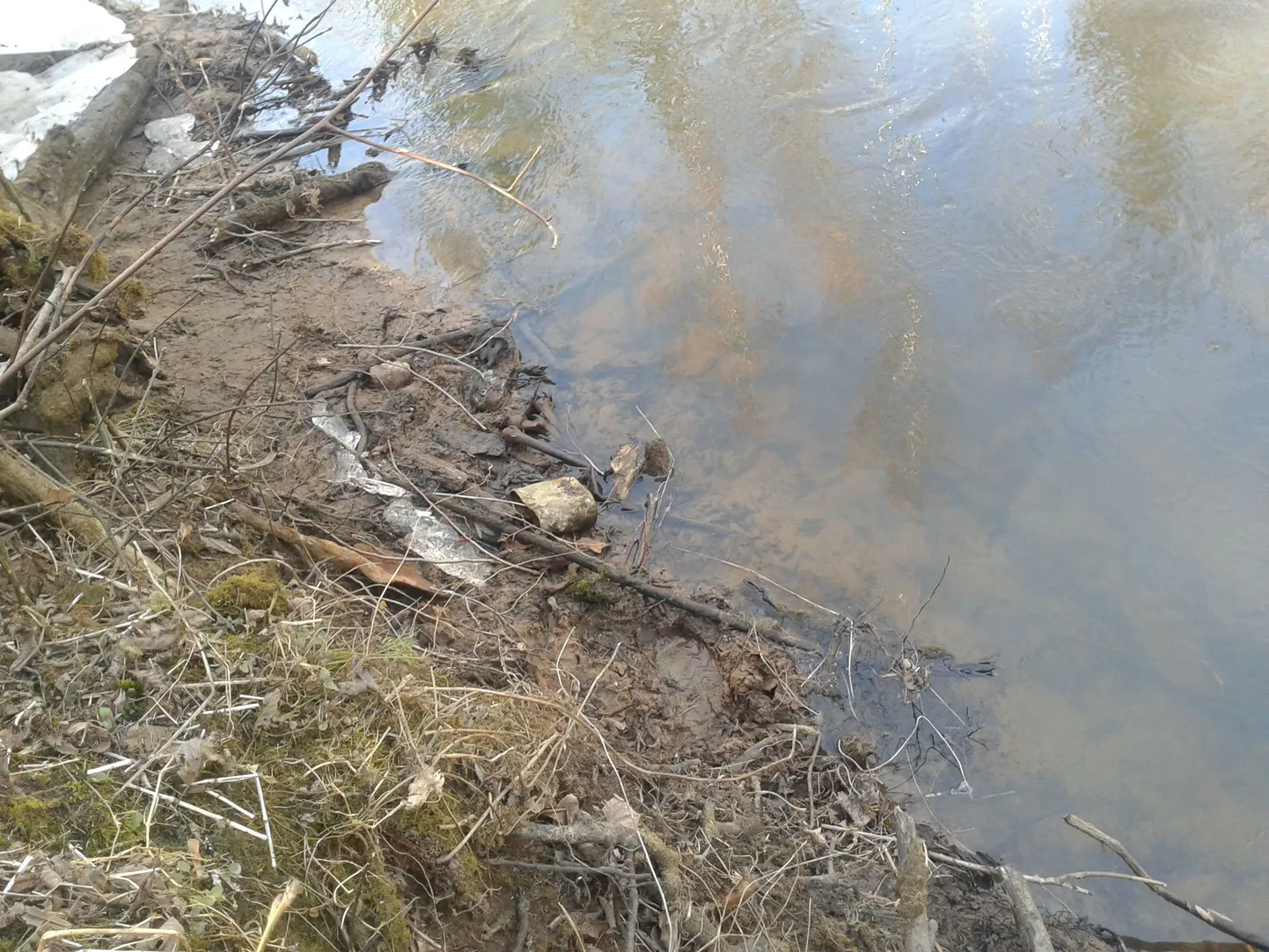 Koht Väikese Emajõe ääres,kus leiud välja tulid.