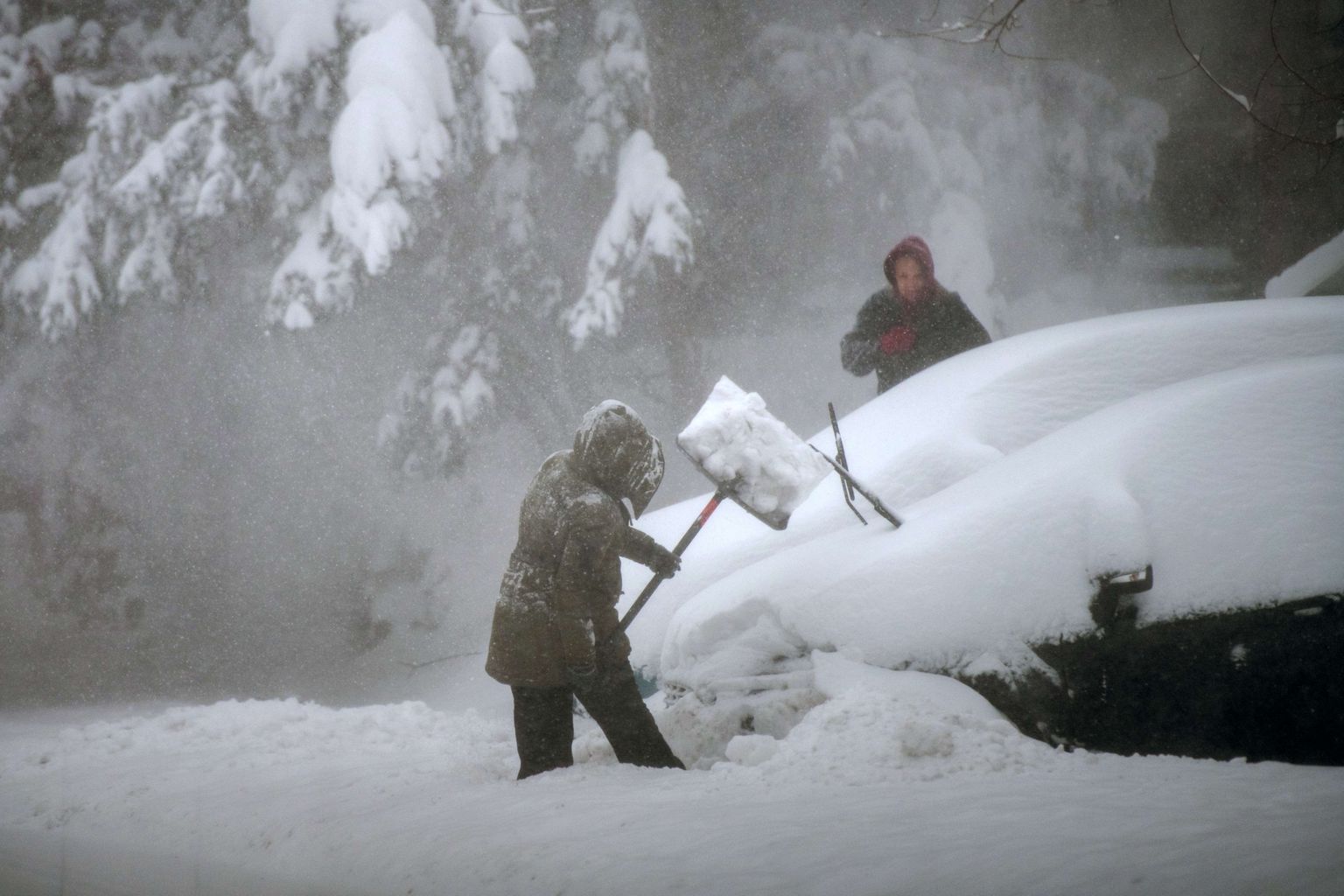 New Yorgi elanik autot lumevangist vabastamas.