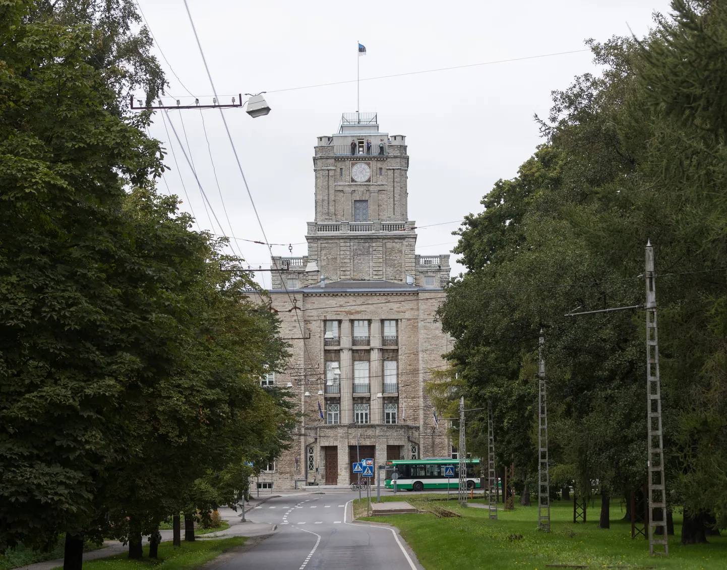 Фото статьи