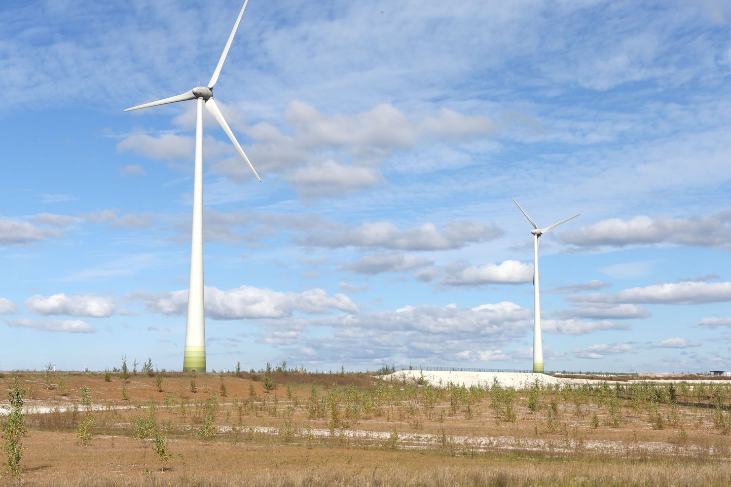 Eesti Energia Narva tuulepark.