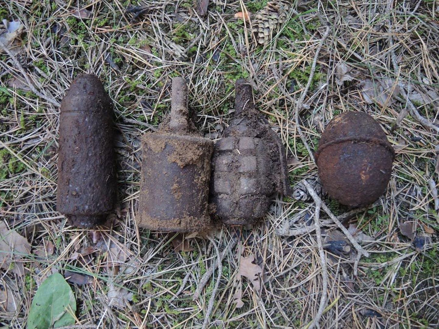 Need granaadid tulid välja Väike-Kõpu küla lähedalt metsast.