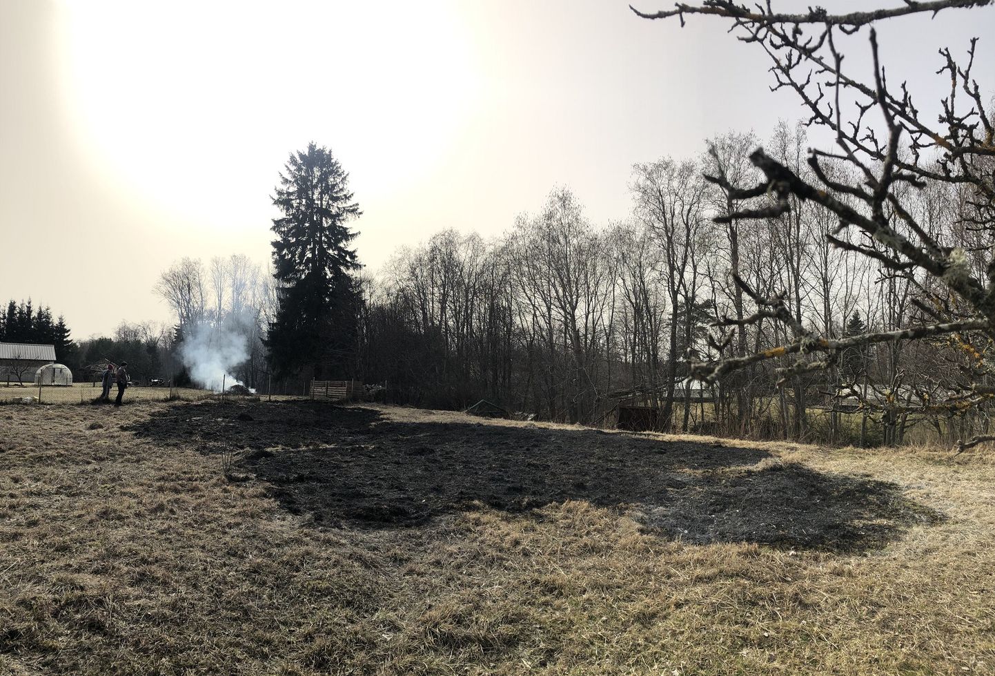 В деревне Конью Тойлаской волости оставленный без должного контроля костер запалил сухую траву.