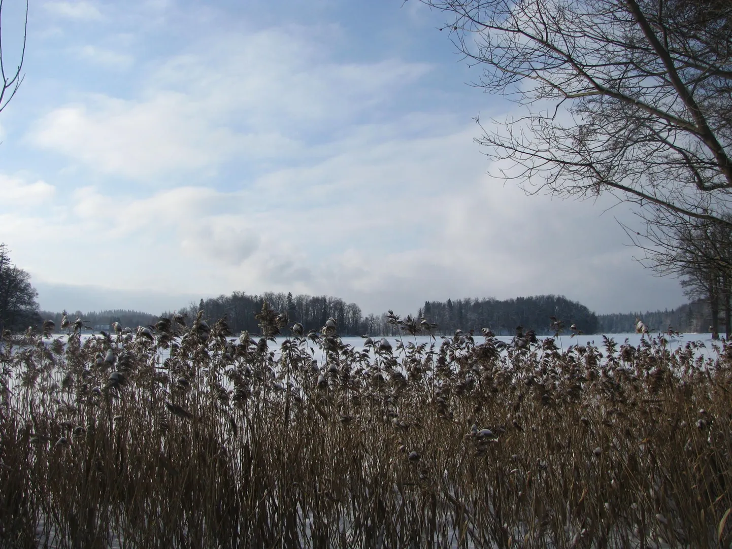 Озеро Пюхаярв.
