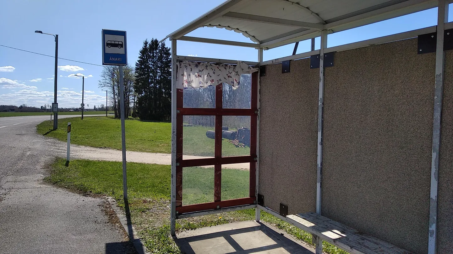 Änari bussipeatus.