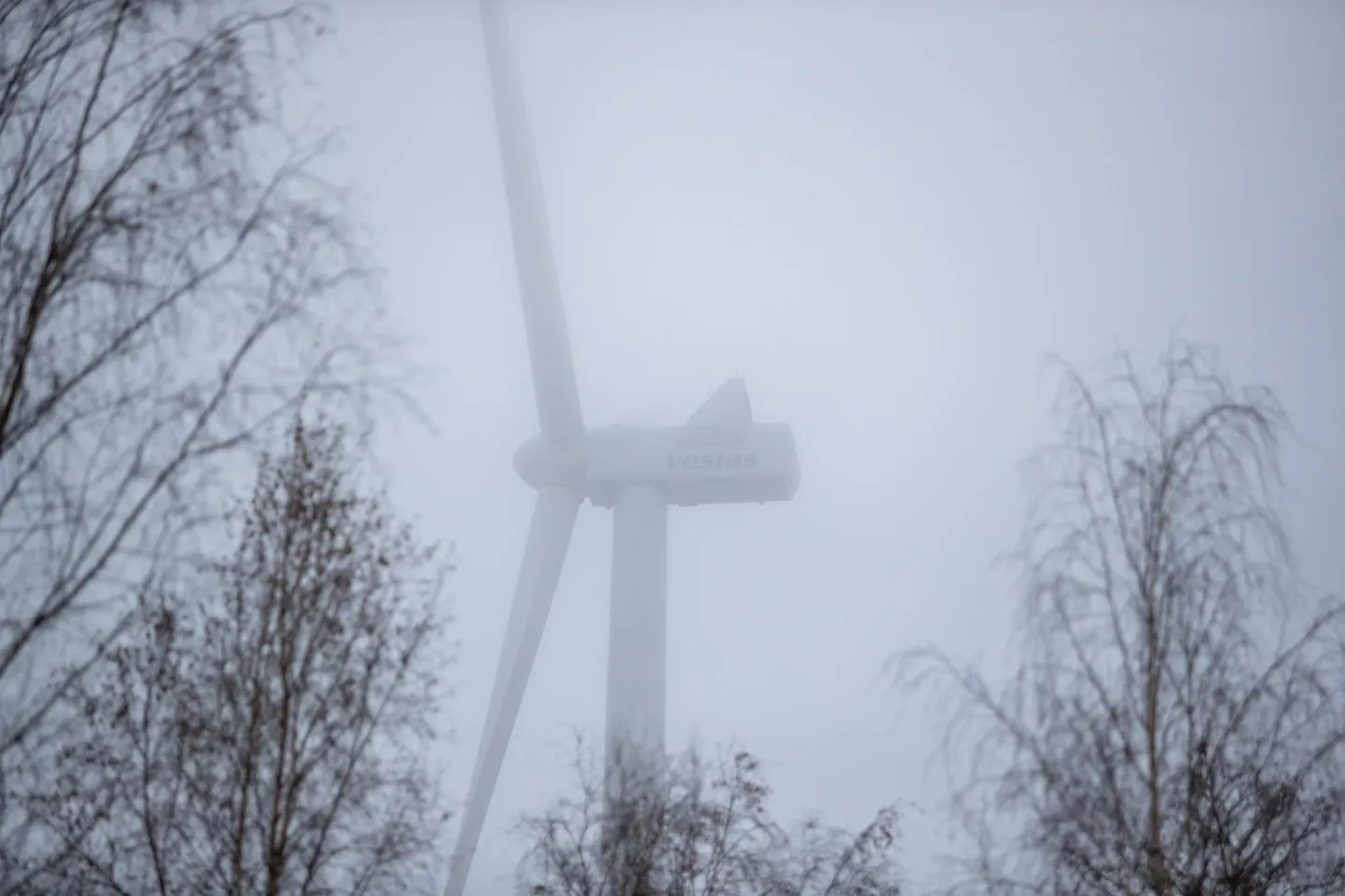 Saarde valda rajatud tuulepark.
