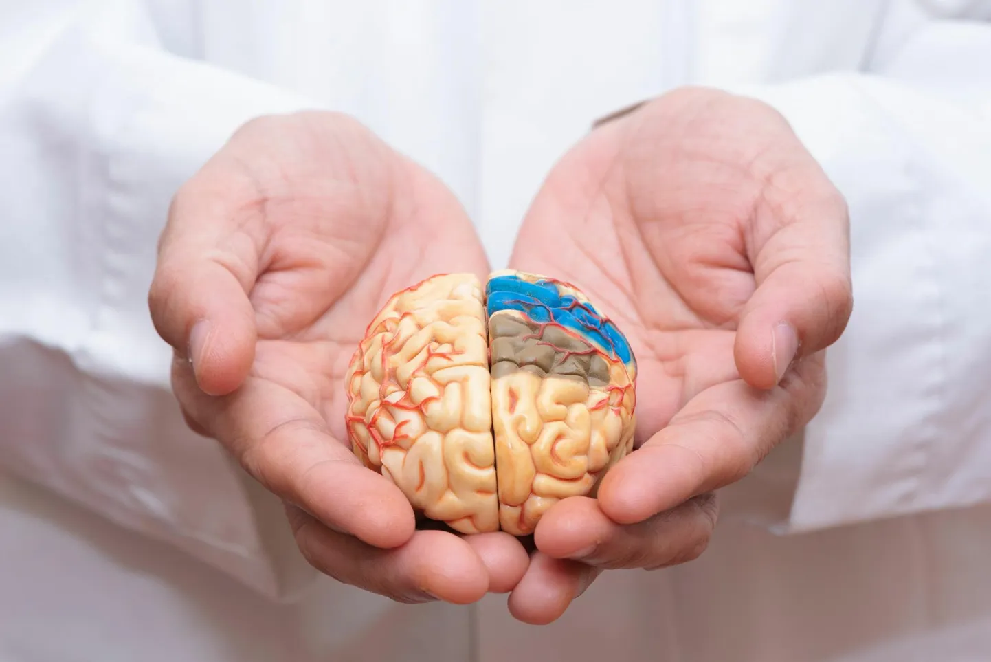 Insult kahjustab
peaaju kõnekeskust.

 FOTO: Shutterstock