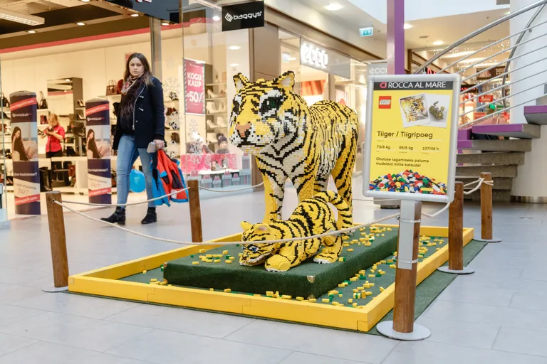 Фото статьи