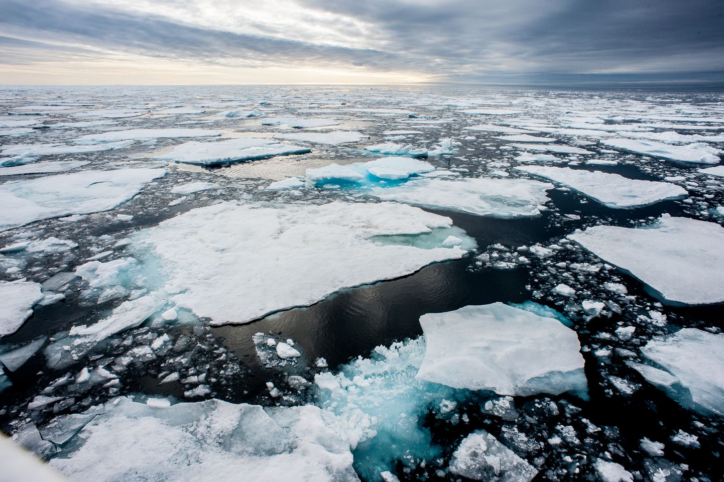 Арктические льды