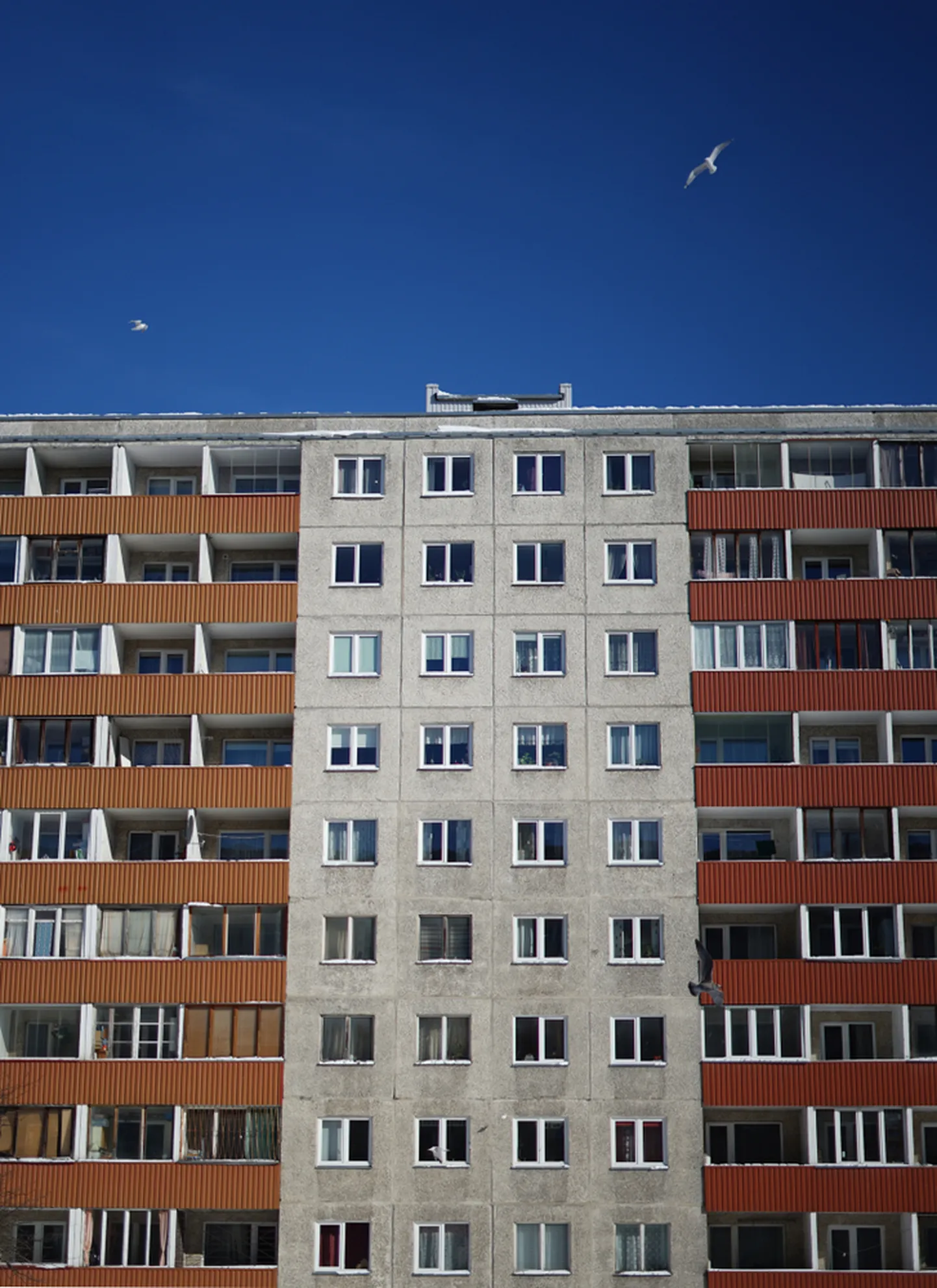Renoveerimisvõimalusi on Eestis täna rohkem kui eales varem.