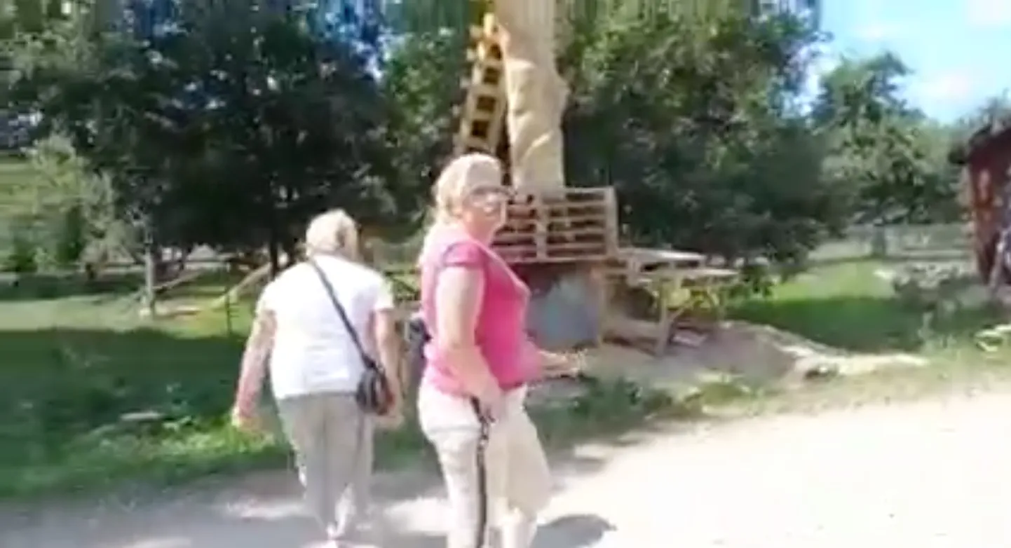 Фото статьи