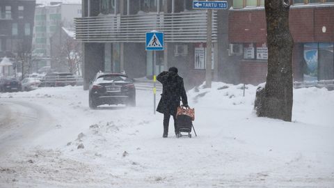 По всей Эстонии передано штормовое предупреждение первой степени