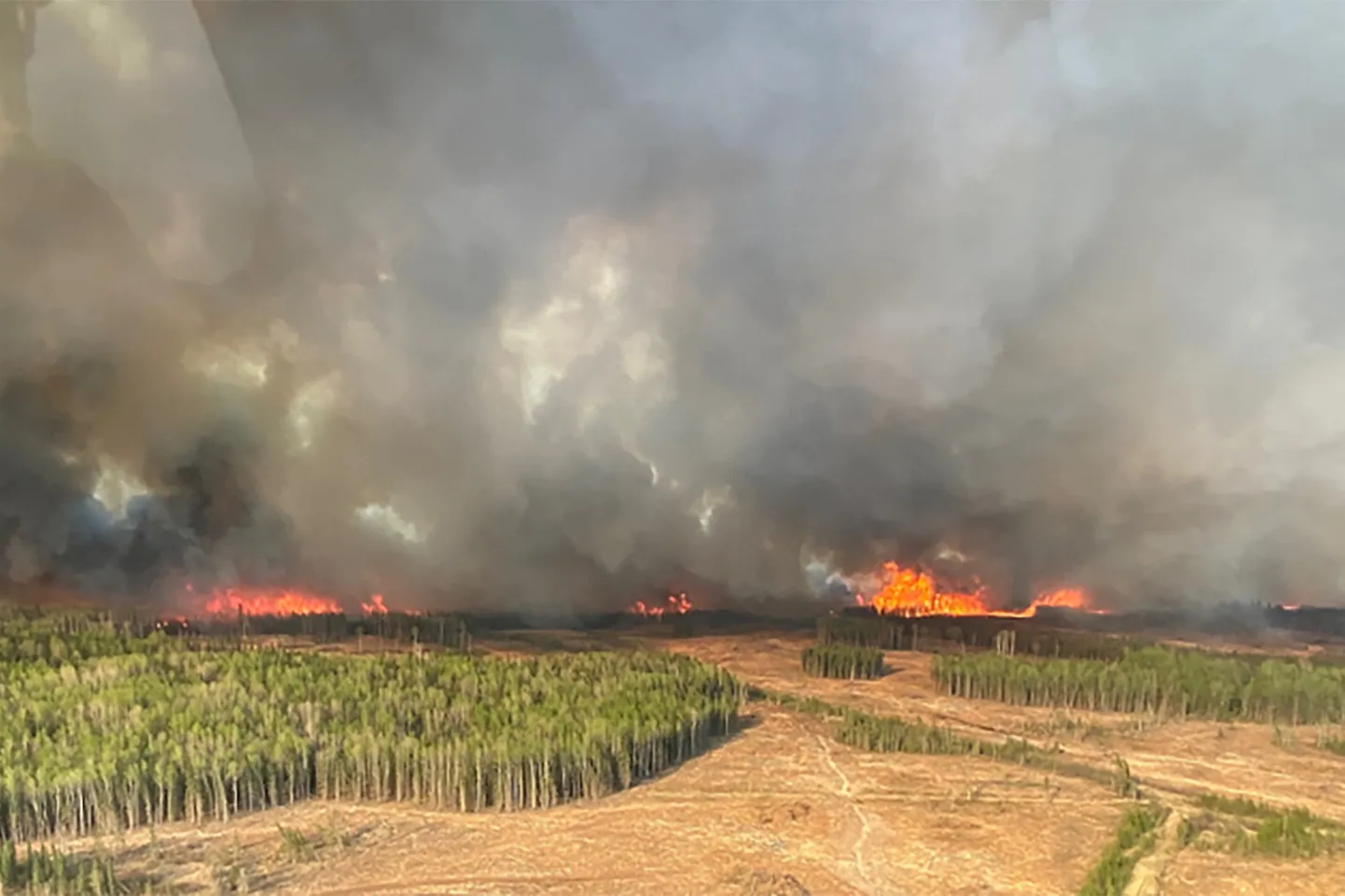 Metsapõlengud Alberta provintsis.