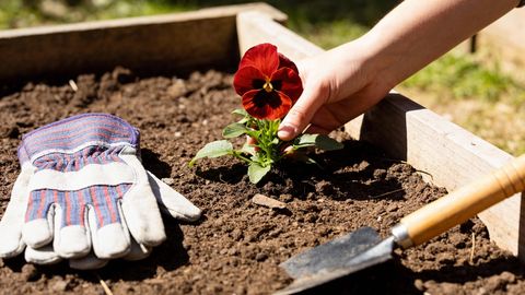 Apdrošinātājs nosauc bīstamāko pavasara nodarbi