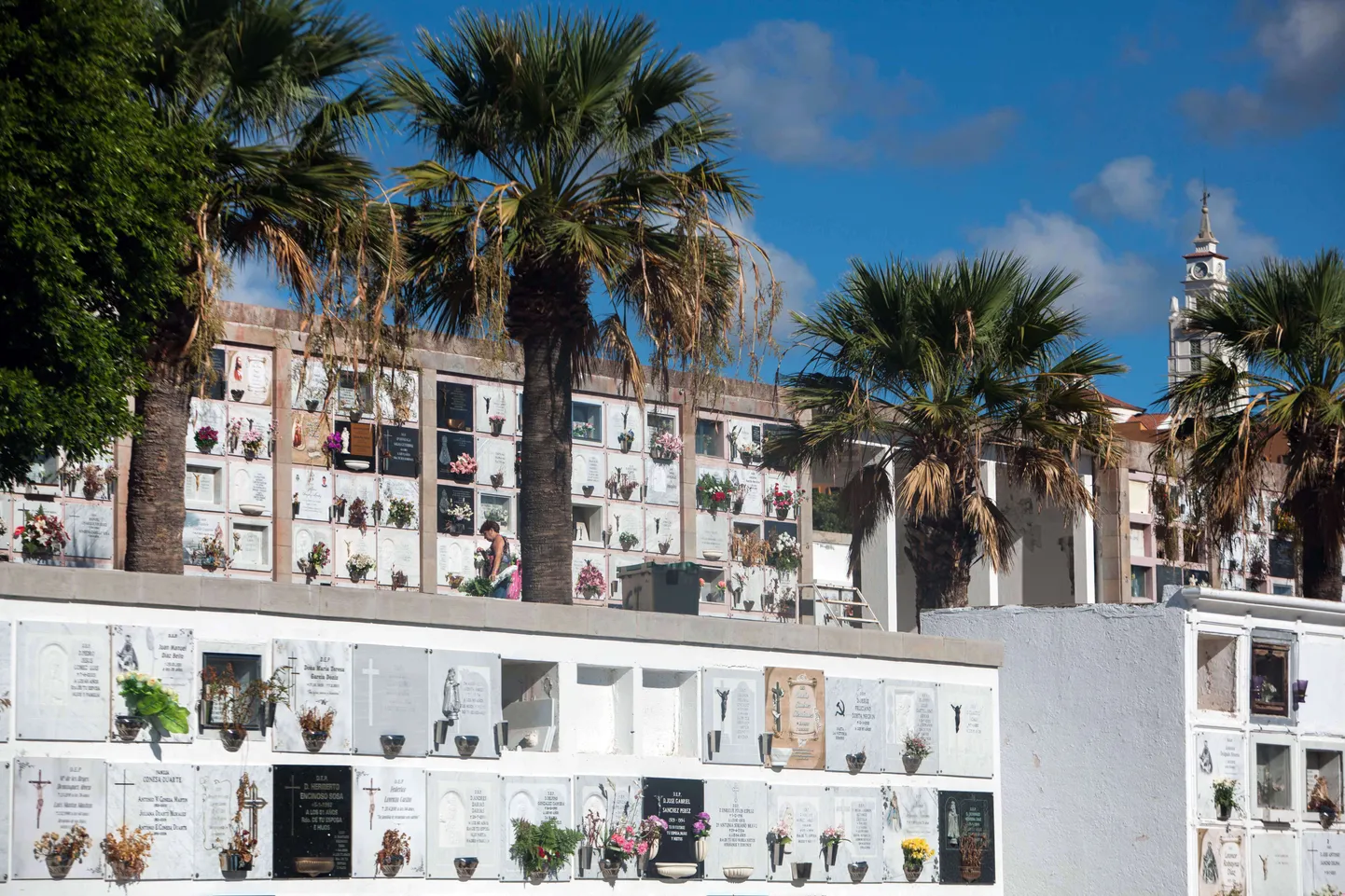 Tenerife