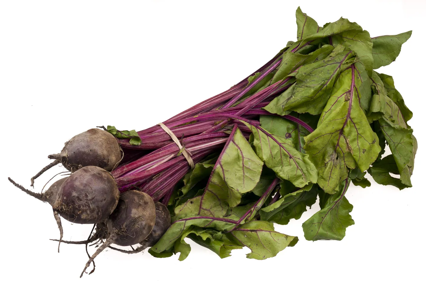 Punapeet