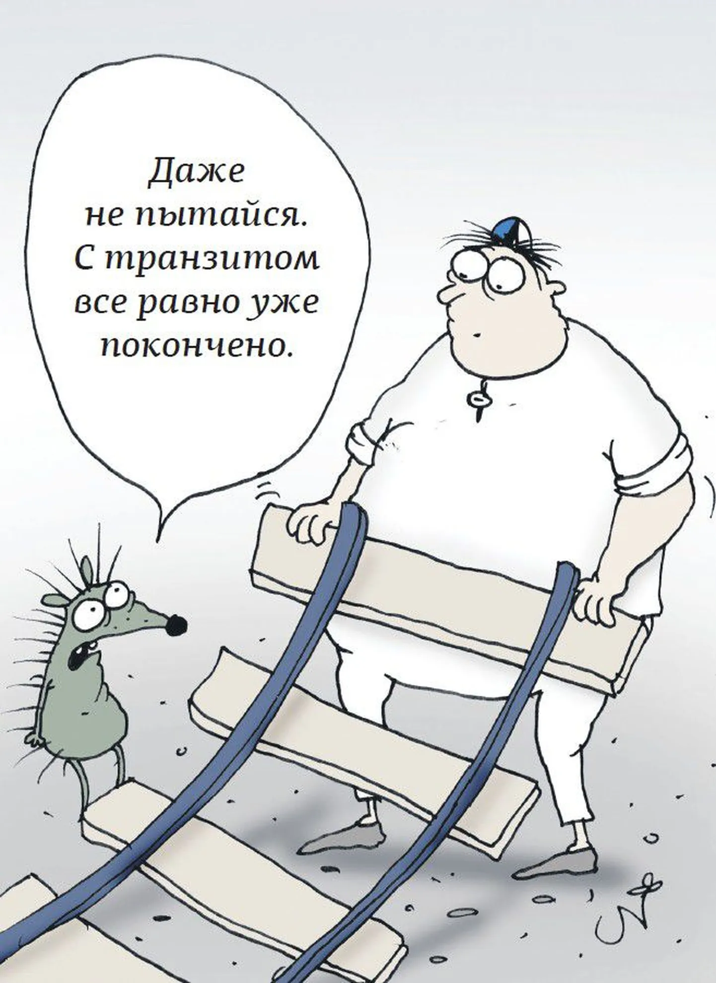 Фото статьи