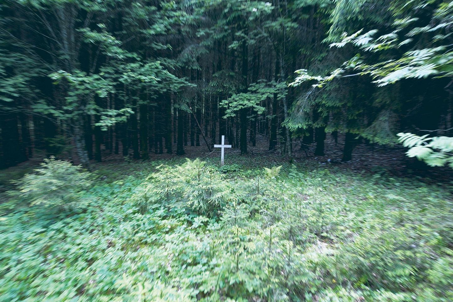 Kilgimäe ehk Kallikumäe kalmistu Võnnu külje all.