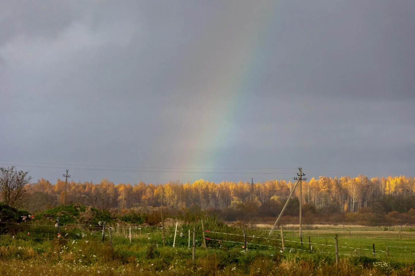 Teisipäev tuleb soe, aga ka vihmane.